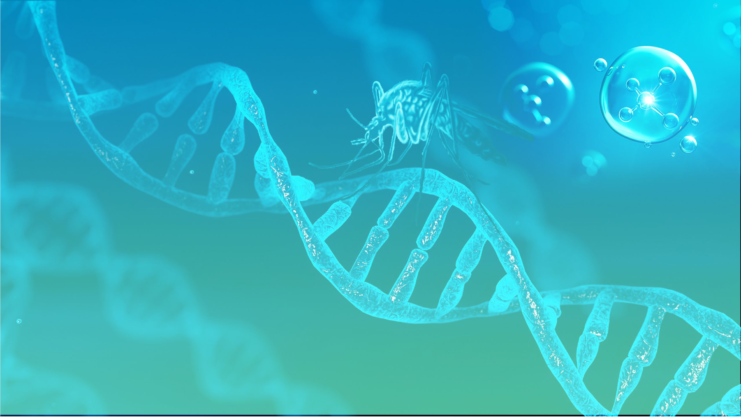 banner-03-scaled.jpg